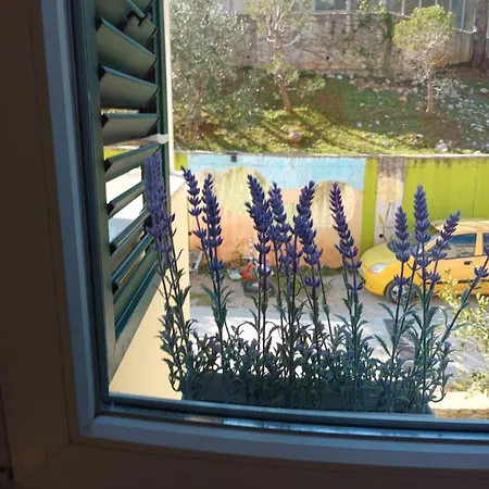 Charming Close To The Old Town & A Free Tour 아파트 *